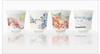 山城四季品茗杯 商品缩略图4