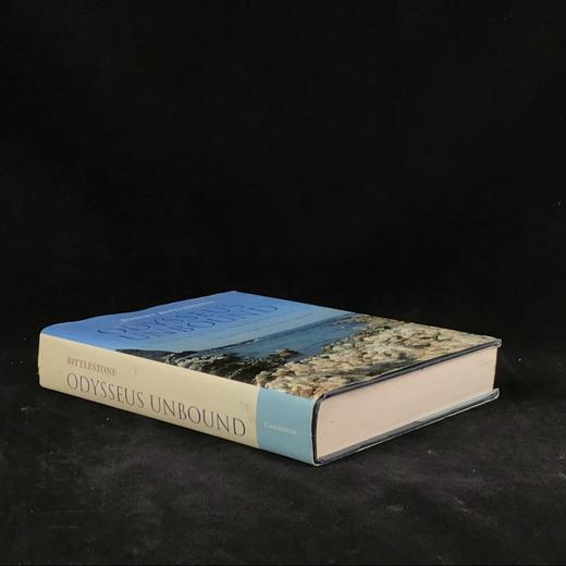 奥德赛：寻找荷马的伊萨卡 数百幅插图 精装16开 商品图1