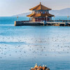 漫游青岛 | 漫步万国建筑间，沉浸浪漫海岸线，拥抱清凉之夏！ 商品缩略图1