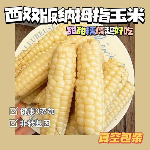 在菌屋 云南西双版纳白糯拇指玉米&紫糯拇指玉米500g/袋 3分甜 7分糯 非转基因老品种 商品图2