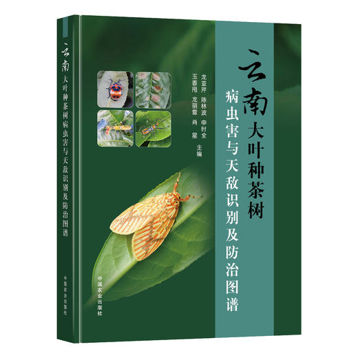 云南大叶种茶树病虫害与天敌识别及防治图谱 商品图0