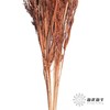 永生花材 | 山茅草咖色 商品缩略图1