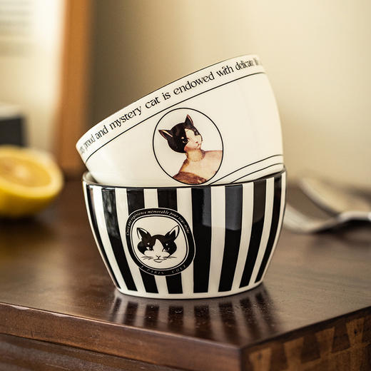 摩登主妇&赫本猫 陶瓷米饭碗家用2024新款高颜值餐具礼盒套装 商品图3