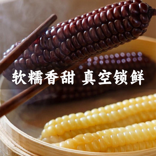 在菌屋 云南西双版纳白糯拇指玉米&紫糯拇指玉米500g/袋 3分甜 7分糯 非转基因老品种 商品图1