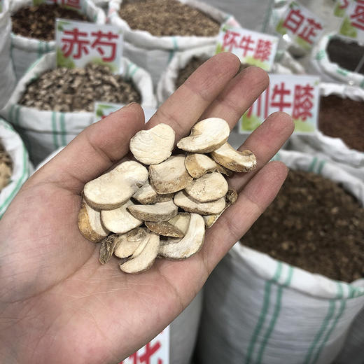 浙贝  常用规格 浙贝母开片 商品图4