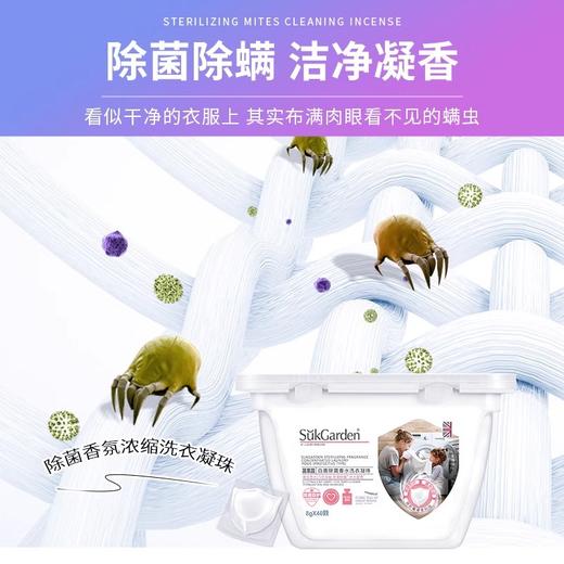 蔬果园 白盾除菌香水洗衣凝珠8g*40颗 商品图3