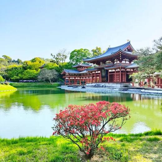 【名城古都】含机票日本旅游东京大阪富士山白川乡岐阜京都奈良 7天6晚跟团游 商品图3