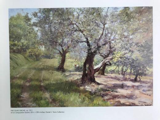 夏日午后：威廉·梅里特·蔡斯风景画集 88幅彩色37幅黑白插图 精装大16开 商品图8