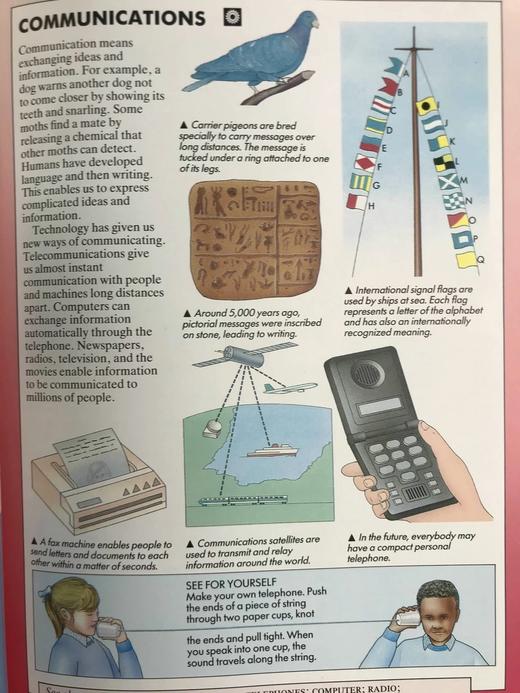 翠鸟科学百科全书 2000余幅彩色插图 精装16开 商品图6