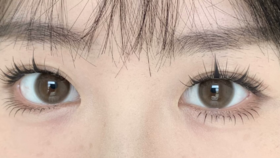 wecute日抛 麦麦咖啡 14.5mm 一盒十片 日抛无售后！！