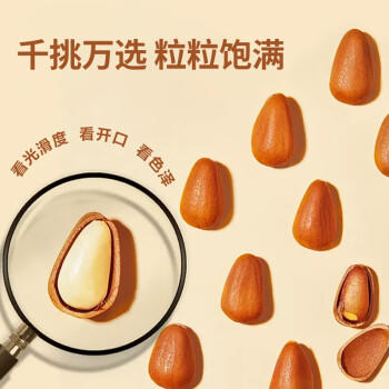 百历坚 罐装开口松子500g 坚果炒货特产东北红松子每日坚果年货送礼 商品图3