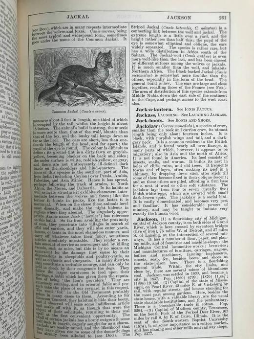 1890年 钱伯斯百科全书（卷6） 约百幅版画插图 真皮精装16开 商品图12