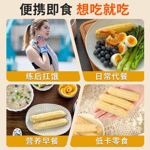 在菌屋 云南西双版纳白糯拇指玉米&紫糯拇指玉米500g/袋 3分甜 7分糯 非转基因老品种 商品图7