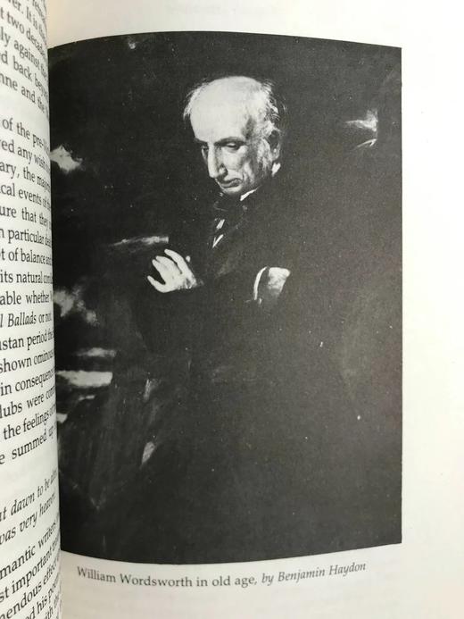 英国文学简史 39幅插图 精装18开带书匣 商品图8