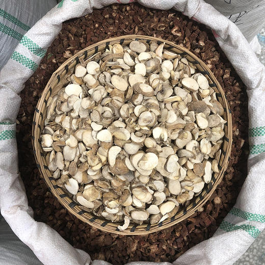 浙贝  常用规格 浙贝母开片 商品图2