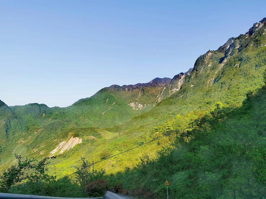 【崇州-244号院】5房独栋院子，可单房预定，海拔1314米，看云海日出、春夏挖笋、夏季避暑、萤火虫，冬季赏雪slxz 商品图3