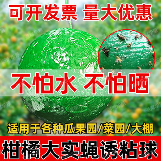 诱蝇球诱粘球大实蝇诱捕球瓜类柑橘果树针蜂实蝇诱虫球诱果实蝇球 商品图4