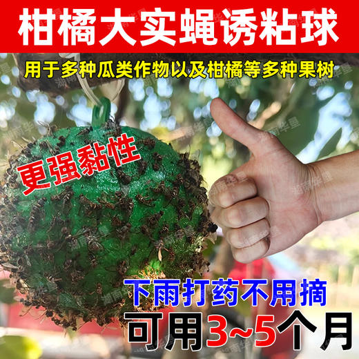 诱蝇球诱粘球大实蝇诱捕球瓜类柑橘果树针蜂实蝇诱虫球诱果实蝇球 商品图3