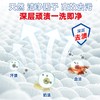 立白 除菌去渍洗衣液500g*3瓶3斤 商品缩略图3