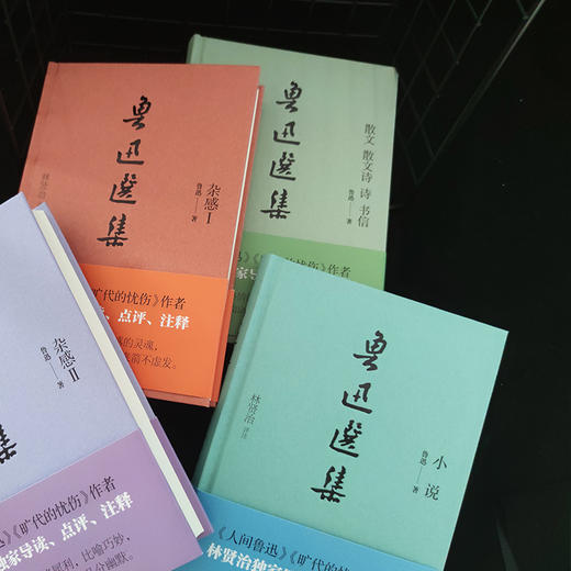 鲁迅选集 套装(全4册) 刷边版 商品图2