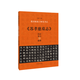 《苏孝慈墓志》技法练习与临摹