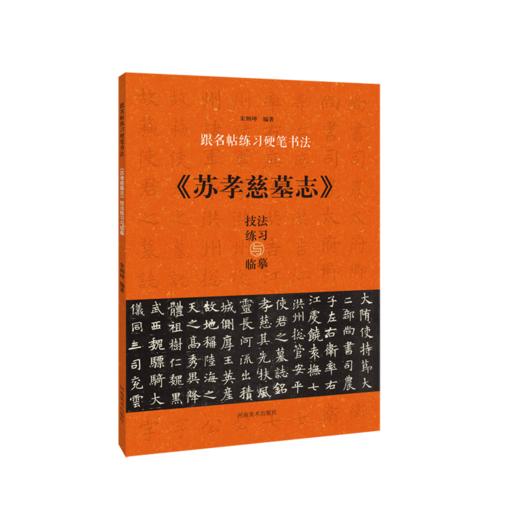 《苏孝慈墓志》技法练习与临摹 商品图0