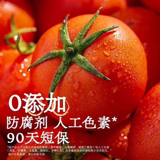 拉面说番茄肉酱意大利面 4分钟速煮不挑锅 不添加更健康 商品图3