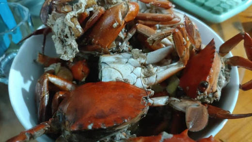 （鲜活小青蟹） 海蟹小肉蟹膏蟹鲜活小红鲟猷蠓5只一斤左右 商品图3