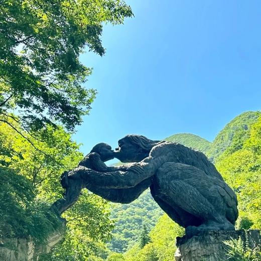 【10人专属】漫游神农架 | 观生态秘境，深入避暑胜地，饱览极致美景！ 商品图5