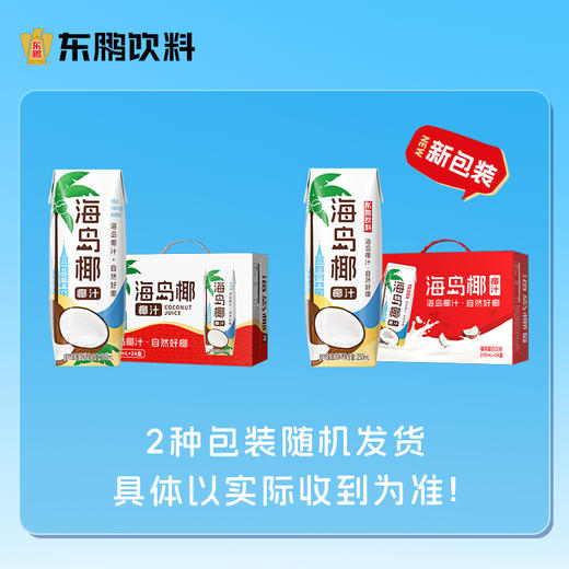 【金秋福利 领券下单立减10元】东鹏海岛椰椰汁250ml*24盒整箱植物蛋白饮料  生榨鲜椰浆 商品图1