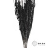 永生花材 | 山茅草黑色 商品缩略图0
