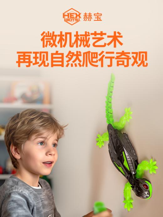 赫宝机器虫-智能遥控电动爬墙壁虎 商品图2