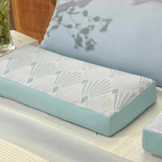 盖茨比系列竹纤维长方枕纯全荞麦壳枕头颈枕成人枕 商品图1