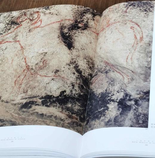 《云南岩画艺术》，精装，16开铜版彩印，邓启耀著，云南人民出版社2006年版，定价258，售价98元。
  商品图14