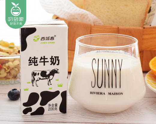 西域春纯牛奶（苗条砖）/1箱（206g*20盒）生产日期：10月13日左右 商品图6