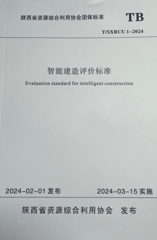 智能建造评价标准 商品图0