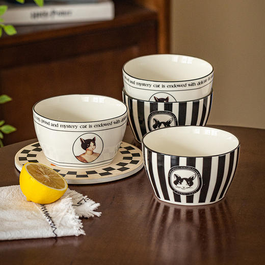 摩登主妇&赫本猫 陶瓷米饭碗家用2024新款高颜值餐具礼盒套装 商品图4
