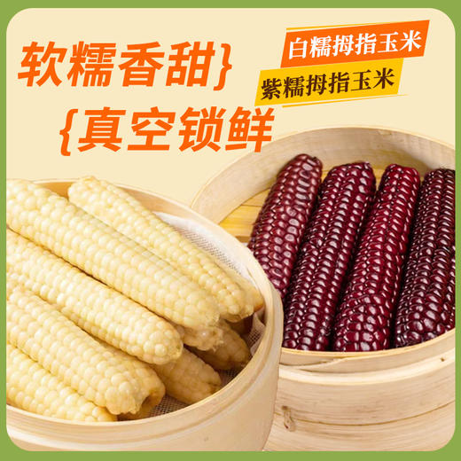在菌屋 云南西双版纳白糯拇指玉米&紫糯拇指玉米500g/袋 3分甜 7分糯 非转基因老品种 商品图3