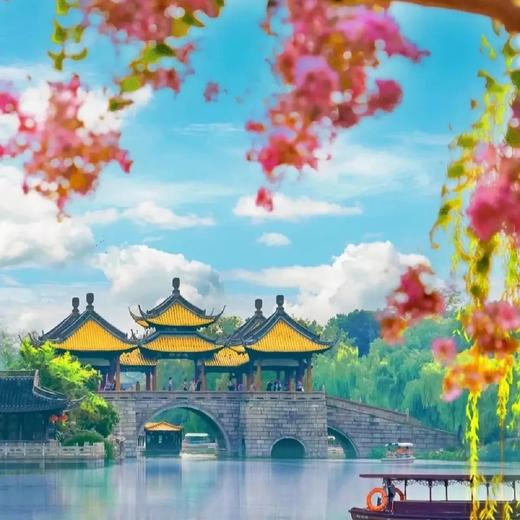 边玩边养老丨漫游扬州，看花海游古巷，玩转江南四城，赏春日江南好风光！ 商品图2