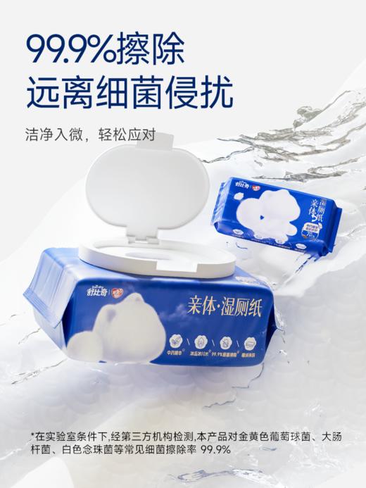 舒比奇亲体湿厕纸（80片*5包） 商品图5