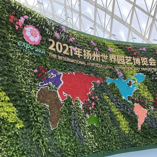 边玩边养老丨漫游扬州，看花海游古巷，玩转江南四城，赏春日江南好风光！ 商品图6