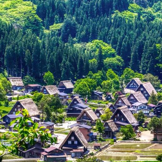 【名城古都】含机票日本旅游东京大阪富士山白川乡岐阜京都奈良 7天6晚跟团游 商品图1