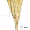 永生花材 | 山茅草黄色 商品缩略图3