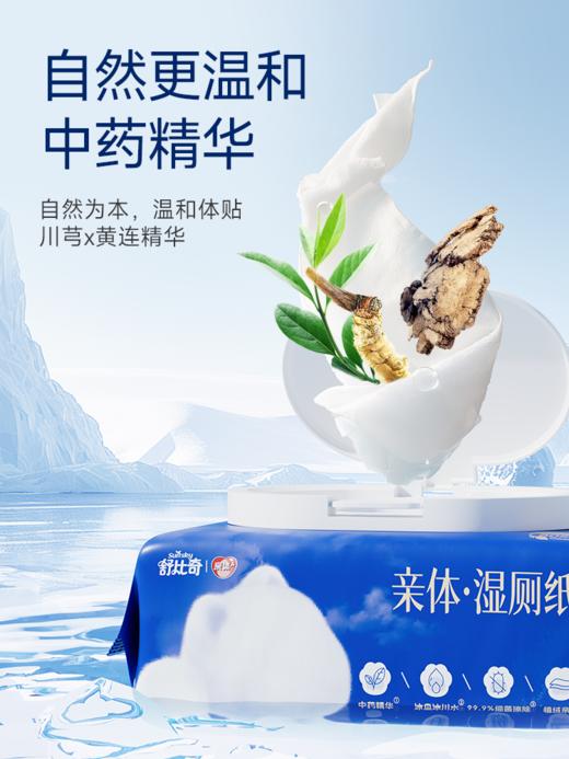 舒比奇亲体湿厕纸（80片*5包） 商品图4