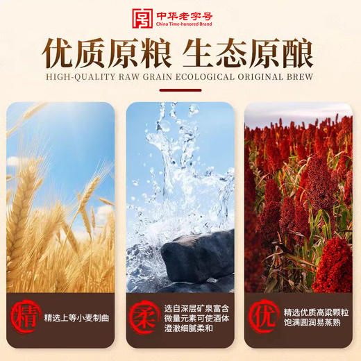 【浓香型】全兴大曲彩6｜彩9酒500ml 52度 商品图4