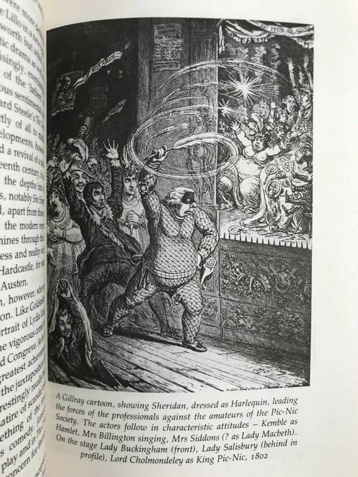 英国文学简史 39幅插图 精装18开带书匣 商品图11