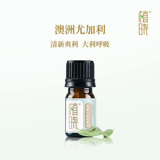 新手入门套装 商品图2