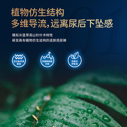 【一般贸易】雀氏（Chiaus）铂金装柔润金棉纸尿裤拉拉裤S/M/L/XL/XXL码男女通用尿不湿 商品图1