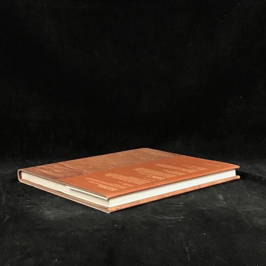 人类时代 数百幅插图 精装16开 商品图2