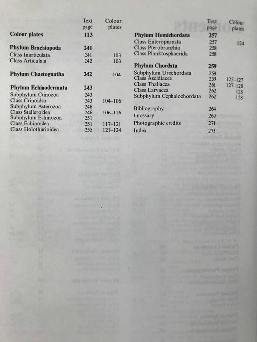 海洋无脊椎动物图解百科全书 约千幅插图 精装大16开 商品图5